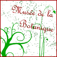 Logo Muse de la Botanique
